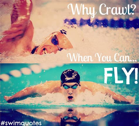 Swimming Quotes For Girls Quotesgram