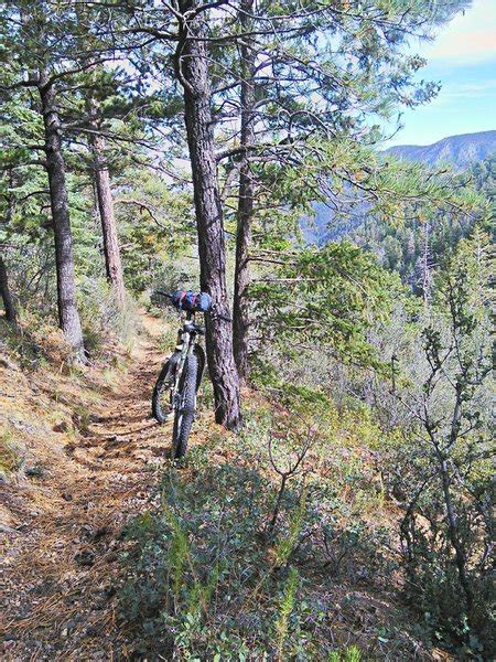 South Baldy Trail 11 Mountain Bike Trail Socorro New Mexico