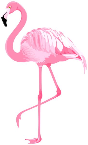 A Pink Flamingo Standing On Its Hind Legs