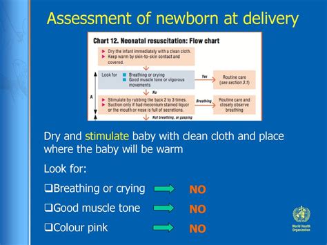 Chapter 3 Problems Of The Neonate Low Birth Weight Babies Ppt Download