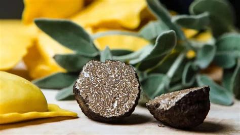 All Of The Facts To Know About Truffles