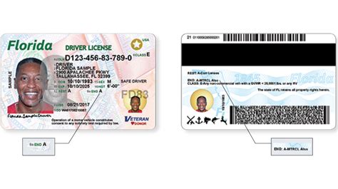 Florida Drivers License Generator
