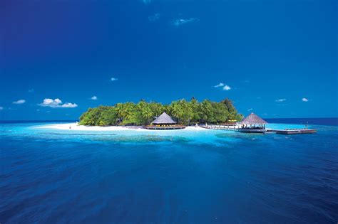 Islet With Green Tress Coral Bungalow Island Palm Trees Hd