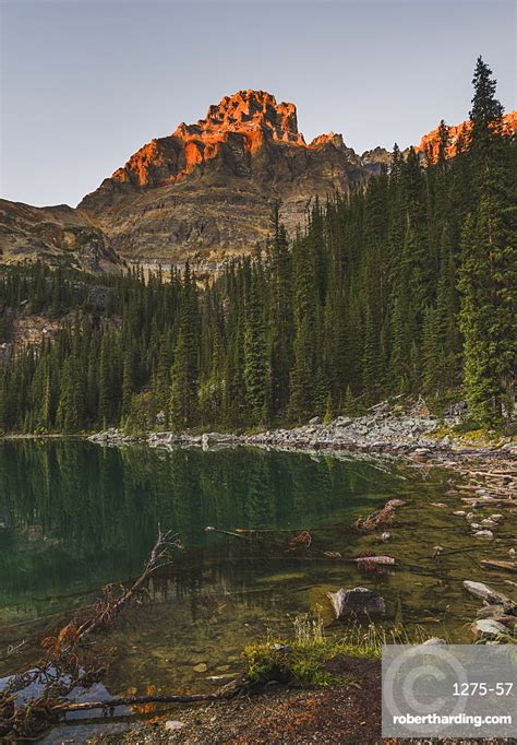 Lake Ohara At Sunset Yoho Stock Photo