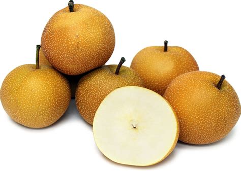 Thekongblog™ Asian Pears A K A Apple Pears — Taking America By Storm