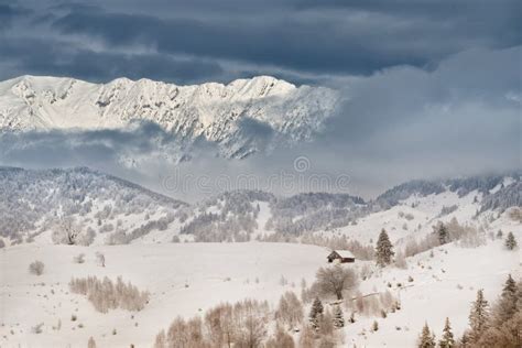 Winter Scene In Romania Beautiful Landscape Of Wild Carpathian