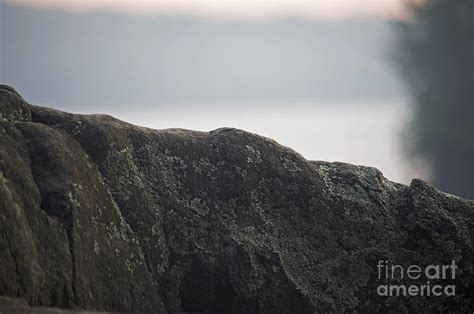 The Canadian Shield Photograph By Elaine Mikkelstrup Fine Art America