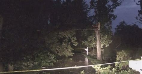 Storms Take Down Trees Leave Damage Behind After Sweeping Through Tri
