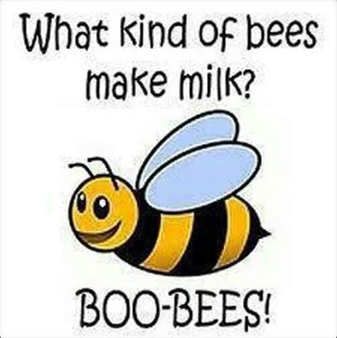 Boo Bees Clean And Funny Pinterest