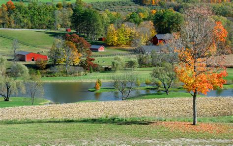 Autumn Farm Scene Stock Photo Image Of Seasonal Stable