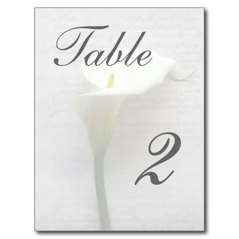 Calla Lily On Old Handwriting Fade Table Card Postcards Tablecard