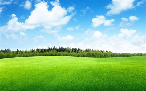 Free Download Beautiful Green Landscape Wallpaper Landscape Wallpaper