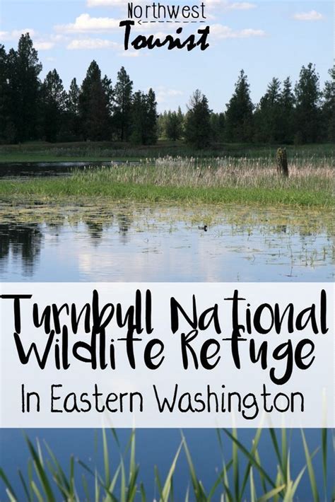 Turnbull Wildlife Refuge In 2020 Washington Road Trip Washington