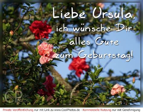 CoolPhotos de Liebe Ursula ich wünsche Dir alles Gute zum Geburtstag