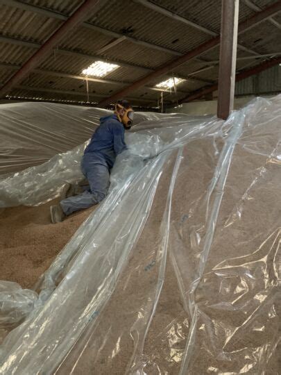 Grain Fumigation Specialists How To Fumigate Wheat And Barley Bpca Reg