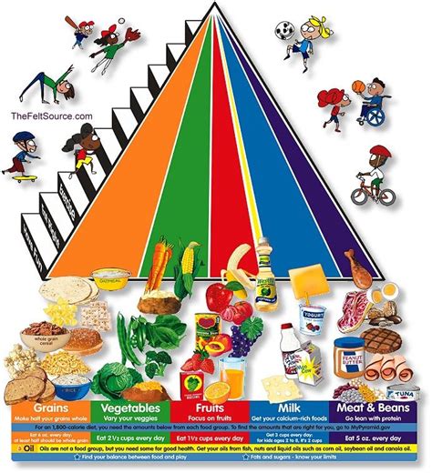 The New Food Pyramid Science