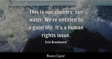 Top 10 Erin Brockovich Quotes Brainyquote