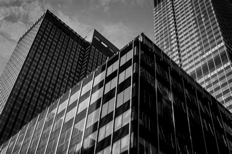 Manhattan Buildings 214 Protozoid