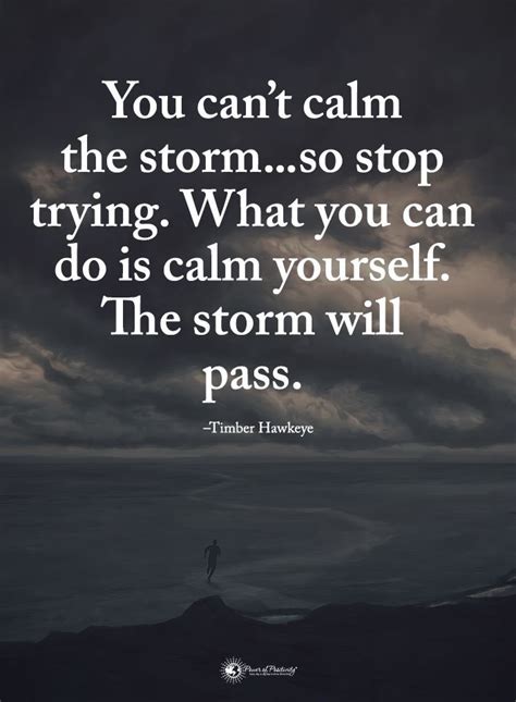 You Cant Calm The Stormso Stop Trying What You Can Do Is Calm