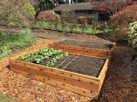 Raised Garden Beds Portland Edible Gardens Raised Garden Beds Edible Landscaping And