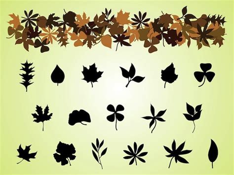 Decorative Autumn Leaves Silhouettes Vector Free Download