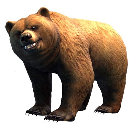 Bear Pets Should Look Like This Wow Petopia Community
