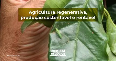 Agricultura Regenerativa Produ O Sustent Vel E Rent Vel Revista