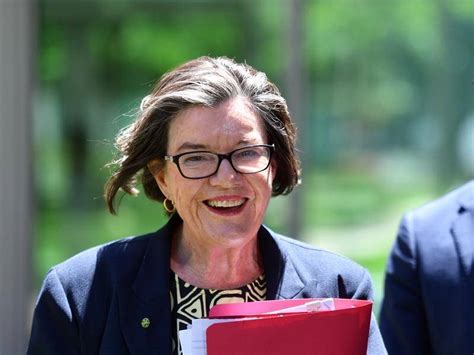 Victorian Mp Cathy Mcgowan Quits Politics Western Advocate Bathurst