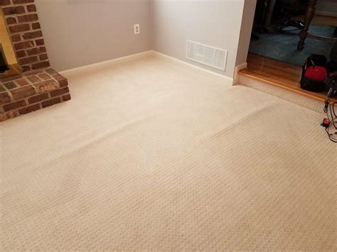 Carpet S Baltimore Carpet Vidalondon