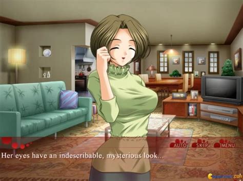 Hitomi My Stepsister Pc Game