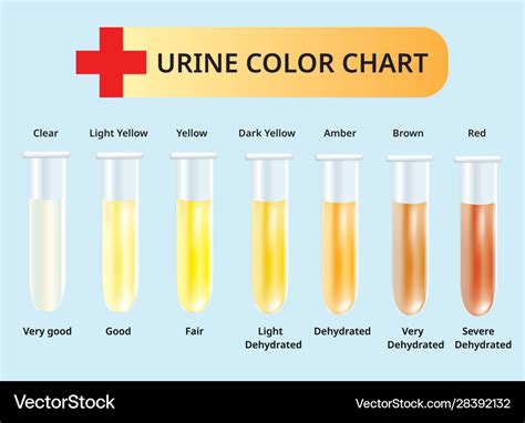 Urine Colour Chart Beat The Heat How To Read Urine Colour Artibiotics