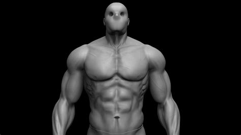 3d Human Body By Buzzzman 3d Model Cgtrader