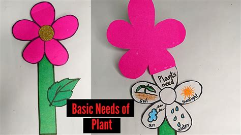 Basic Needs Of Plant What Do Plants Need To Grow Science Activity