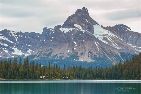 Where To Stay In Lake Ohara Guide By Laidbacktrip Backcountry Camping