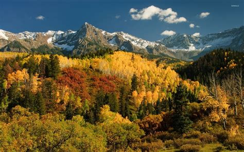 autumn-forest-by-the-snowy-peaks-wallpaper-nature-wallpapers-35882
