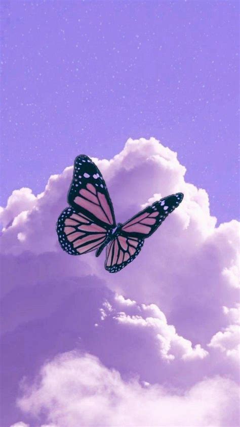 Purple Butterfly Wallpaper Hd