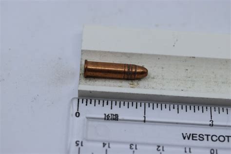 22 Long Rifle Copper Case Copper Bullet No Headstamp