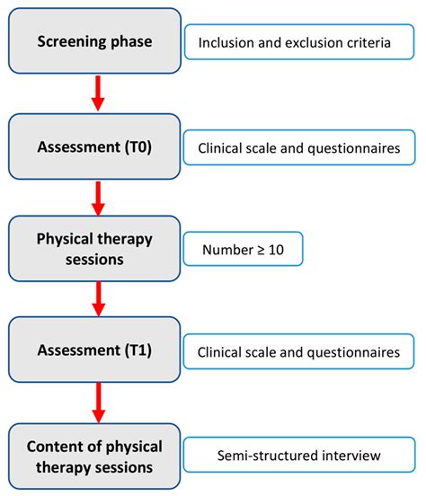 Jcm Free Full Text Classification And Quantification Of Physical Therapy Interventions