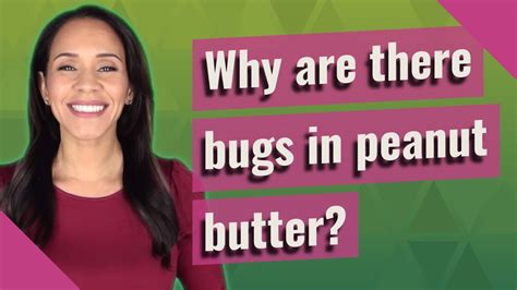 Why Are There Bugs In Peanut Butter Youtube