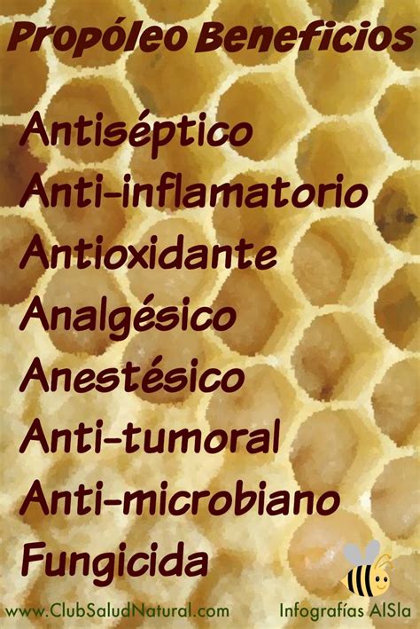 A Propolis é Um Produto Natural