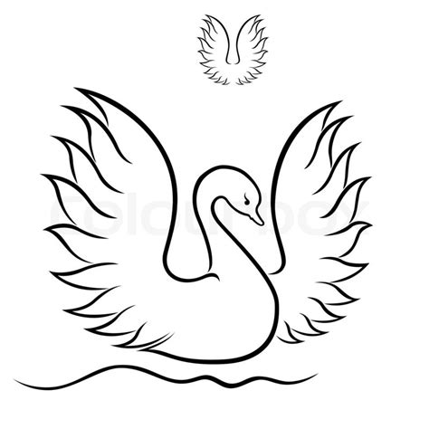 Swan Drawing Images At Getdrawings Free Download