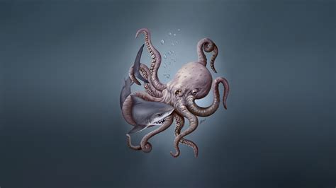 Octopus Hd Wallpaper Background Image 1920x1080