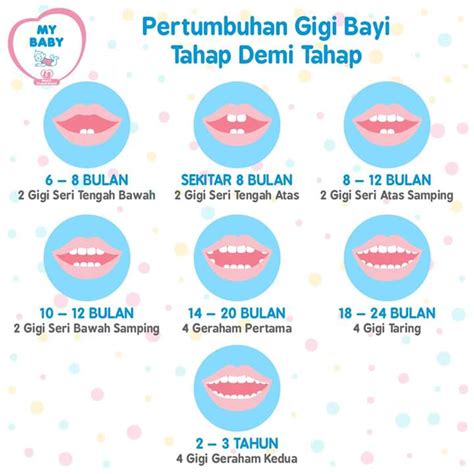 Fluoride dibutuhkan untuk pertumbuhan gigi dan tulang. Pertumbuhan gigi bayi tahap demi tahap ~ Cikgu Norazimah