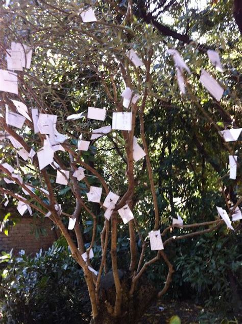 Life Is So Complicated The Wish Tree In Venice Italy