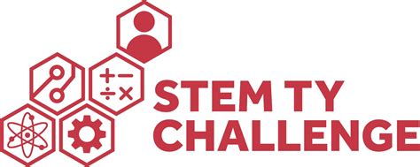 Stem Ty Challenge Report By Hayes Culleton Infogram