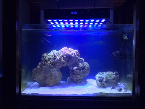 Fsfish Tank Aqua Japan Aj 60 24 Gallon All In One Reef Aquarium
