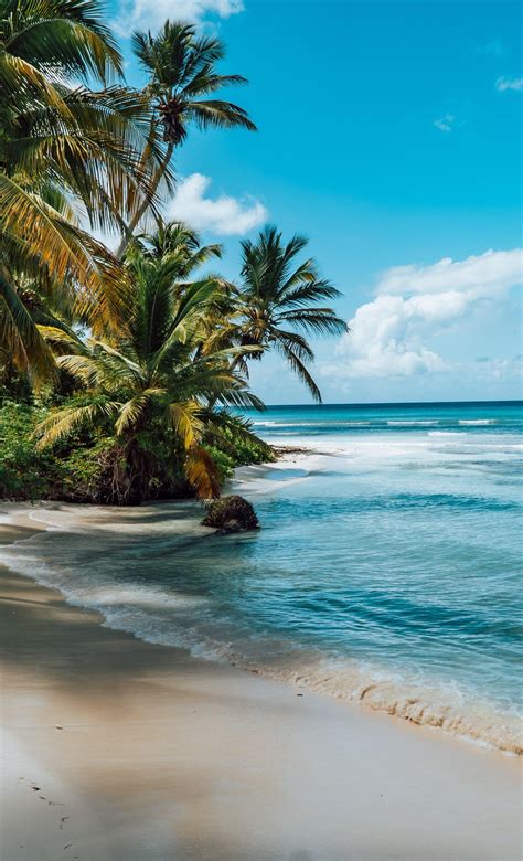 Descubra As Melhores Praias Da República Dominicana