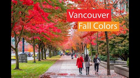 Vancouver Canada Falls Autumn Colors Fall Foliage Youtube