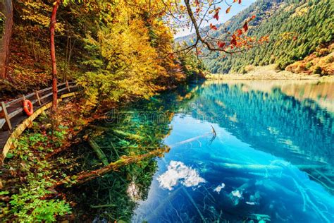 Fantastic View Of Lake With Azure Water Among Fall Woods Stock Photo