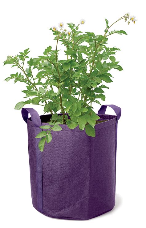 I am considering purchasing some grow bags to supplement my garden space for tomatoes but i am not sure how they work. Gardener's Best® Potato Grow Bag